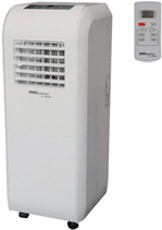 Click for More Info on this air conditioner