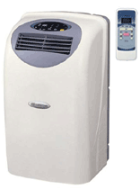 Click for More Info on this 12,000 BTU Portable AC